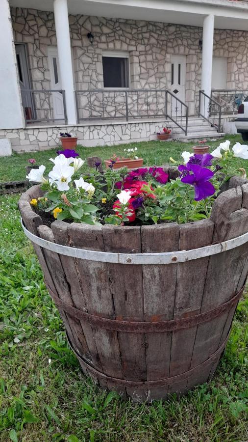 Kamena Kuca Family Rodin Appartement Čapljina Buitenkant foto