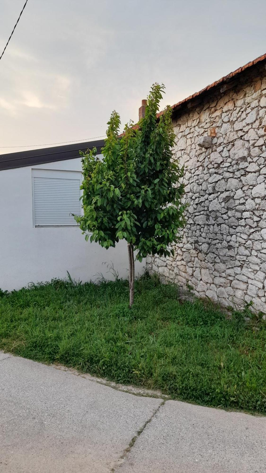 Kamena Kuca Family Rodin Appartement Čapljina Buitenkant foto