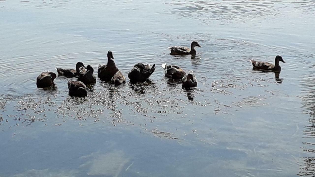 Kamena Kuca Family Rodin Appartement Čapljina Buitenkant foto