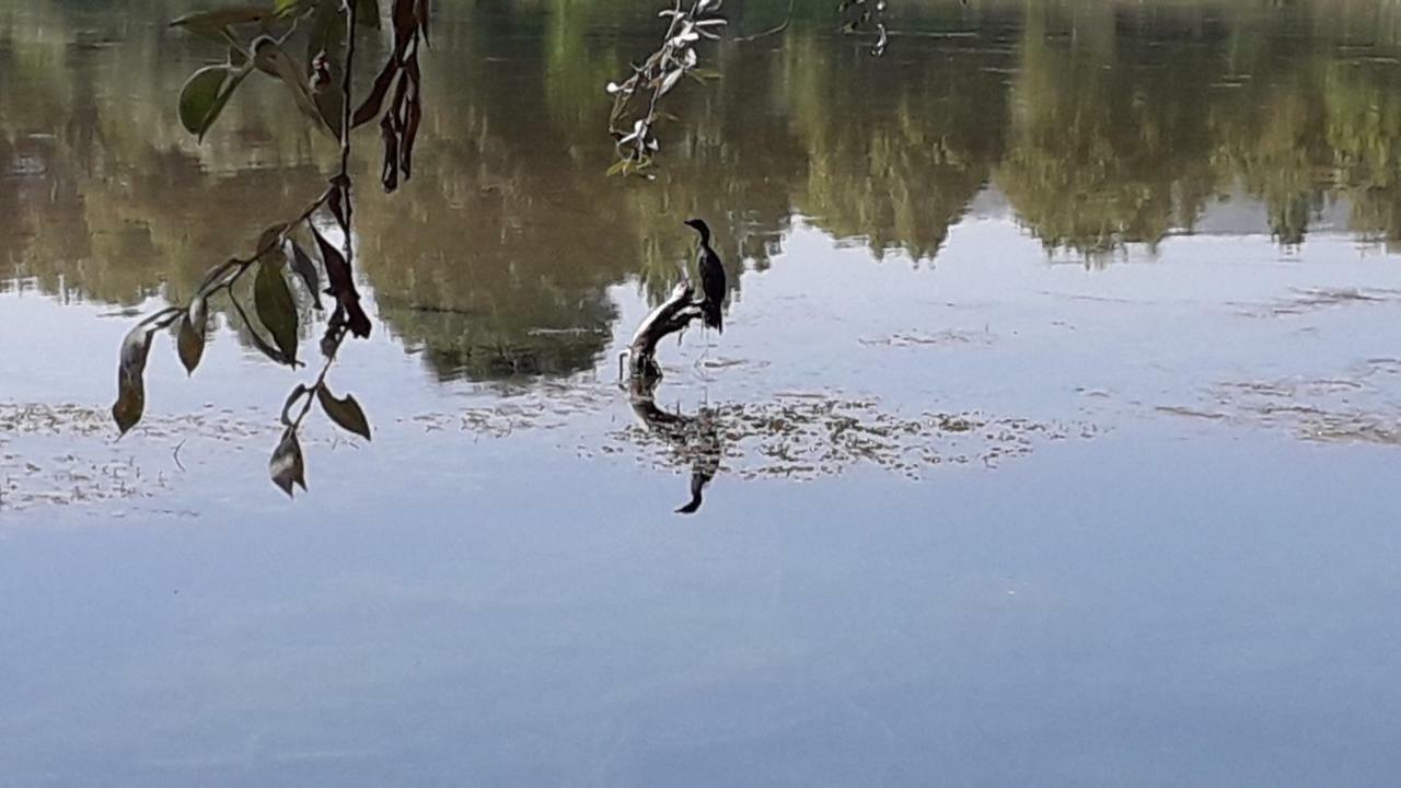 Kamena Kuca Family Rodin Appartement Čapljina Buitenkant foto